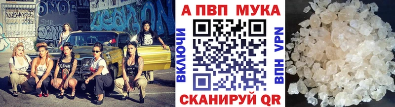 APVP СК  kraken как зайти  Кола 